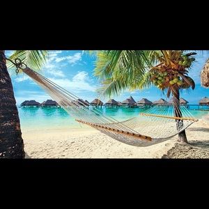 Meet your Posher, Lori-ann